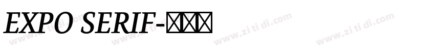 EXPO SERIF字体转换